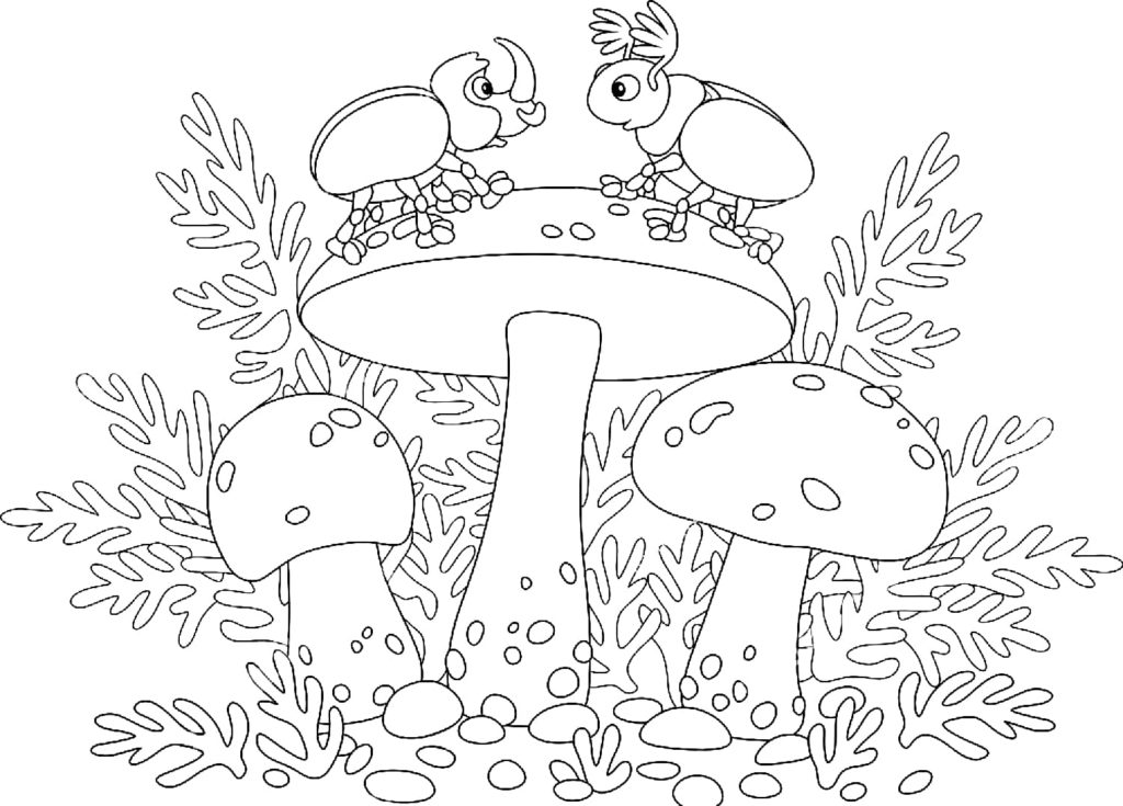 Desenhos de Cogumelos para colorir
