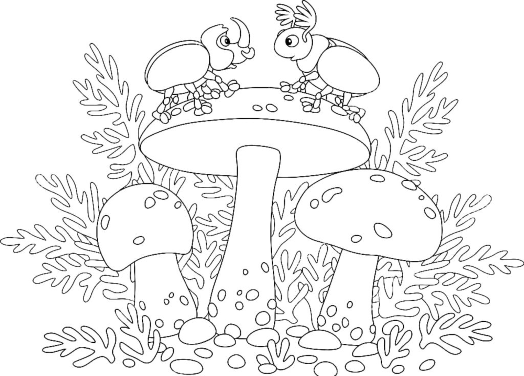 Disegni di Funghi da colorare