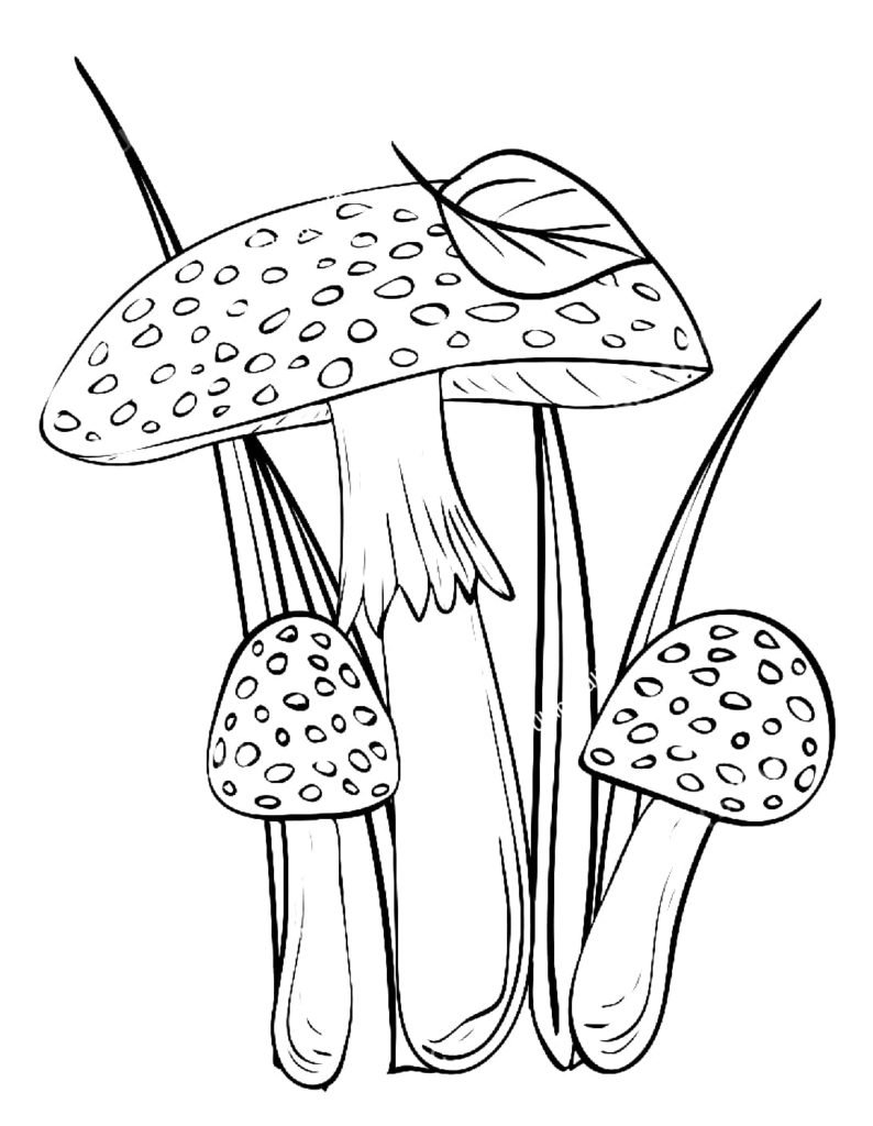 Mushrooms coloring pages