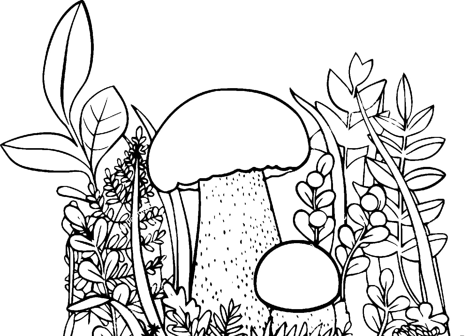 Раскраска грибы для детей 5-6 лет