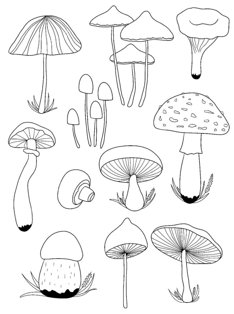 Desenhos Fofos para Colorir Cogumelo