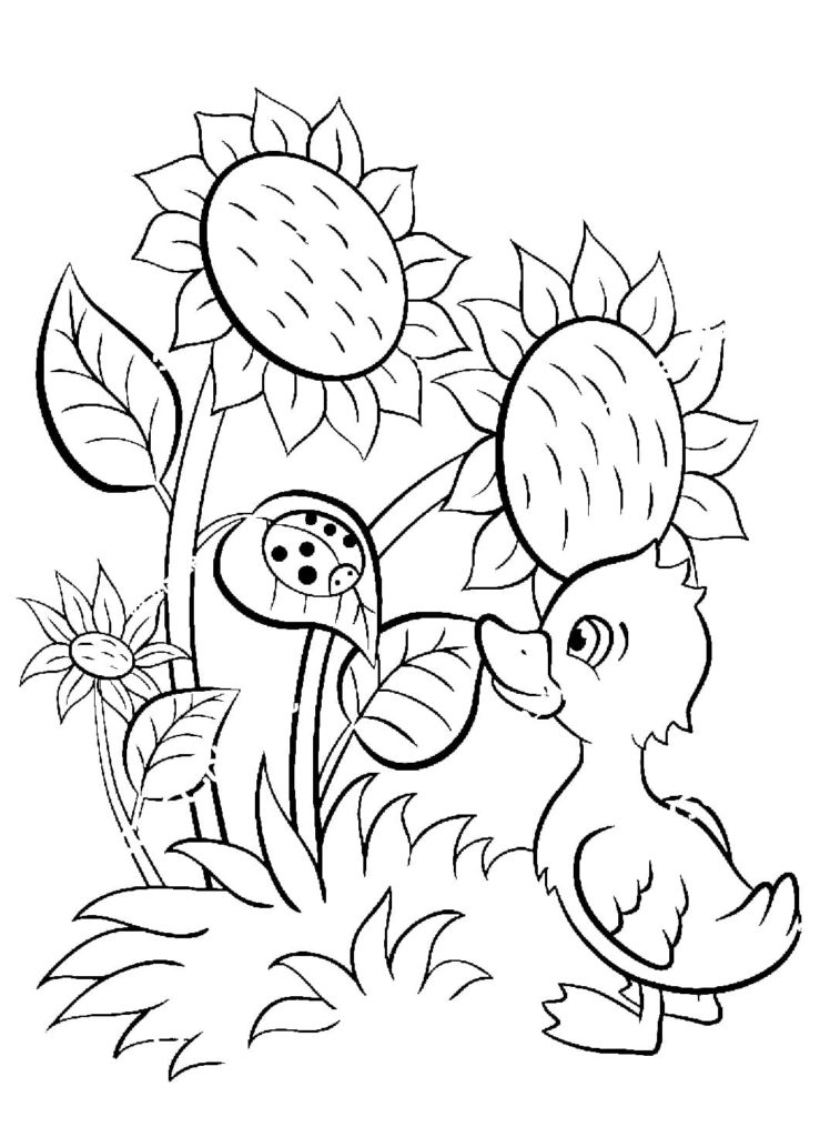 Desenhos de Girassol Para Imprimir e Colorir