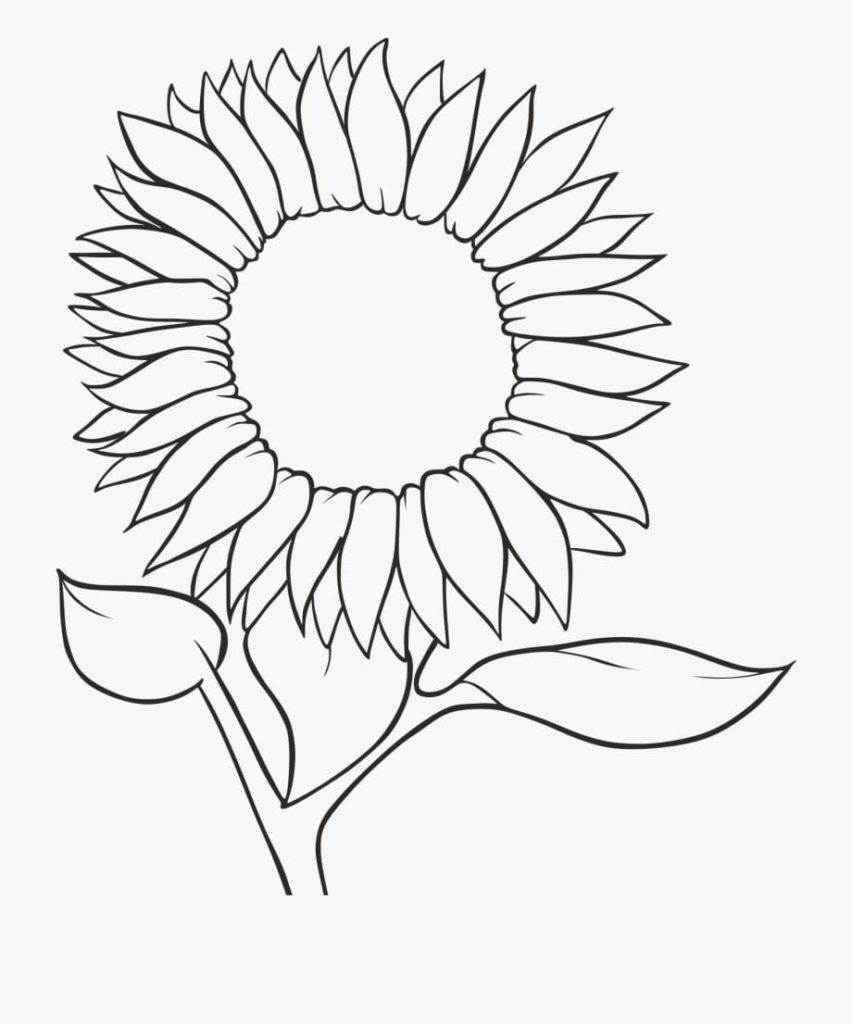 Ausmalbilder Sonnenblume