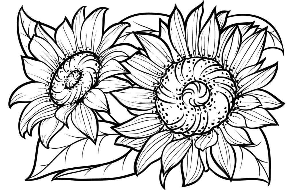 Desenhos de Girassol Para Imprimir e Colorir