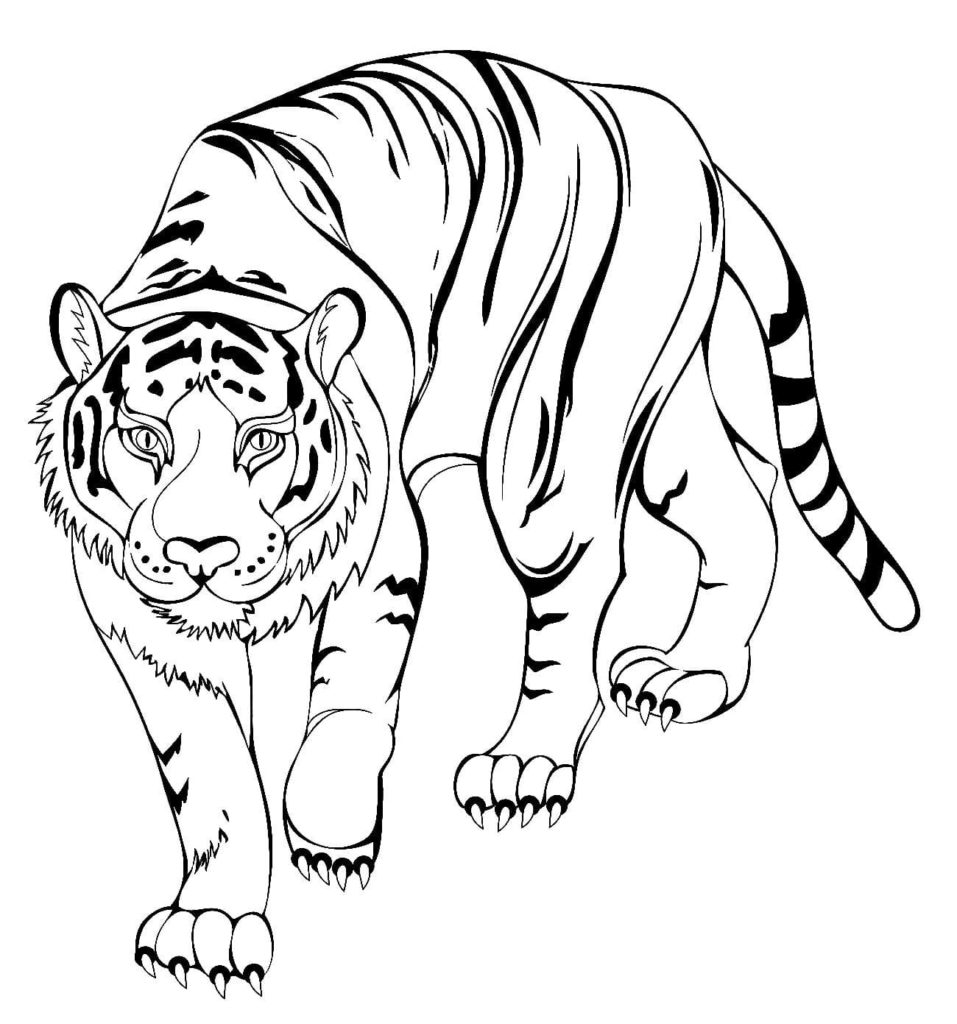 Dibujo de año del tigre 2022 para colorear