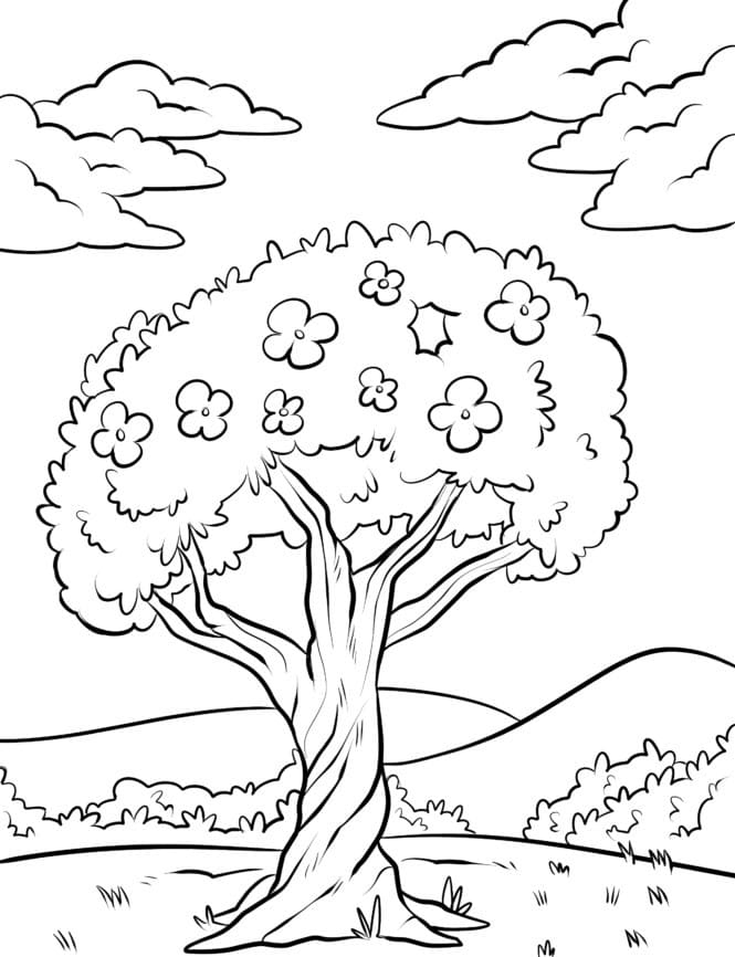 Desenhos de Árvores para colorir