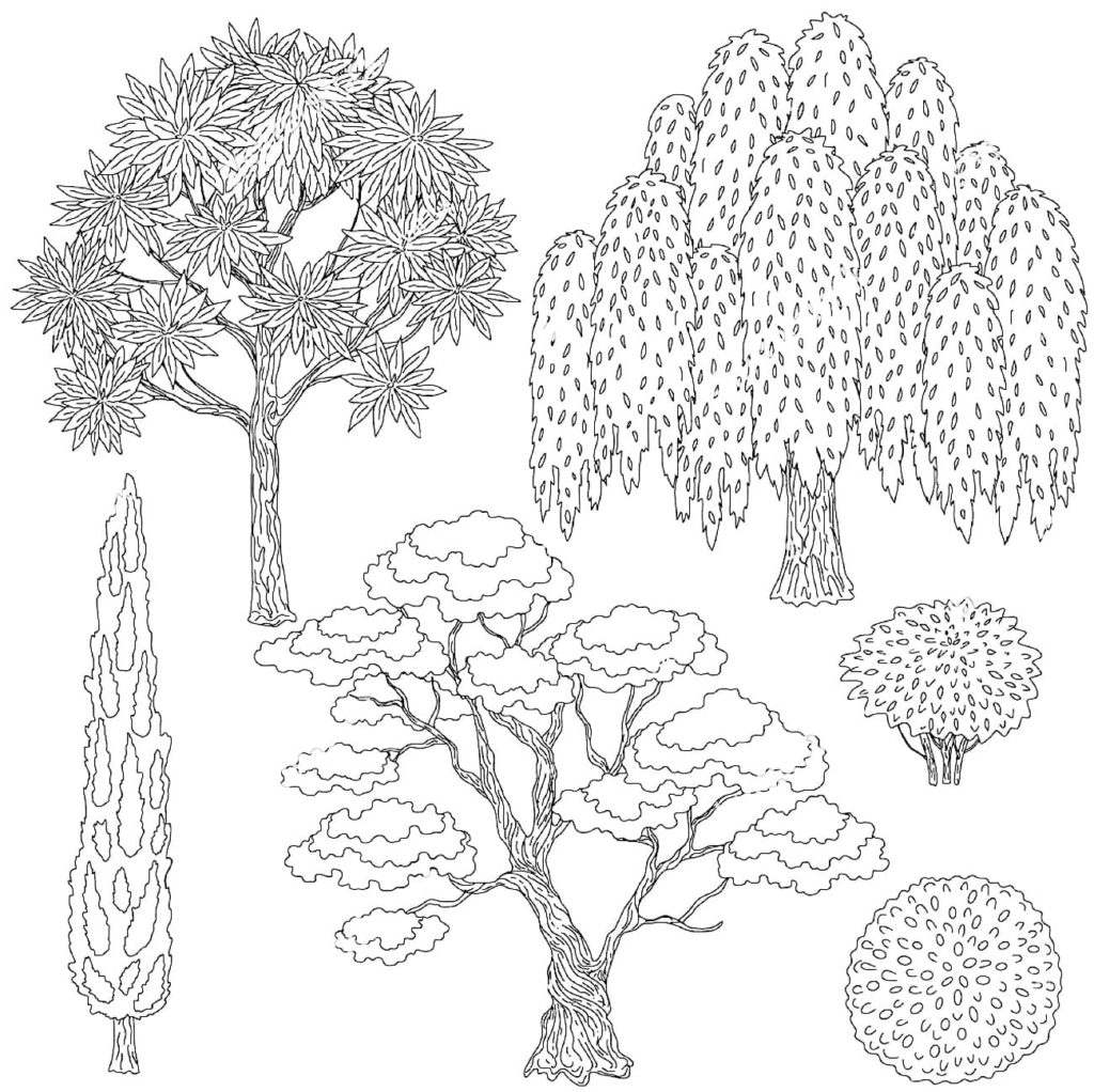 Desenhos de Árvores para colorir