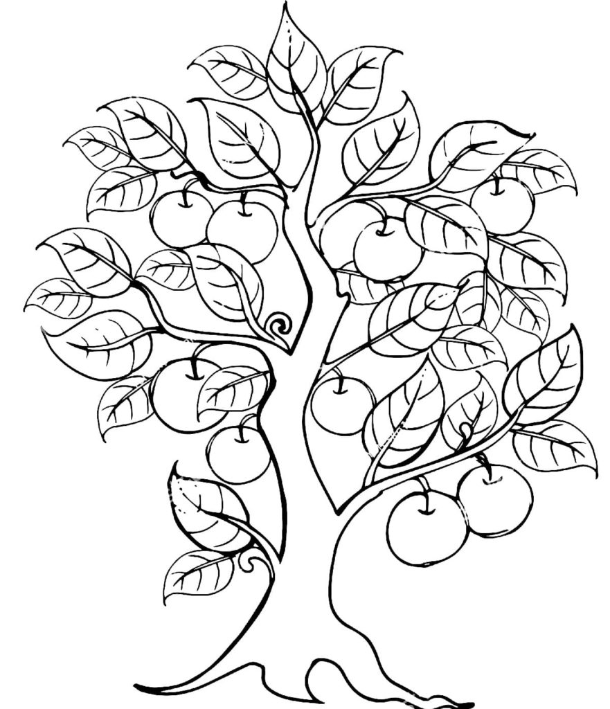 Trees coloring pages
