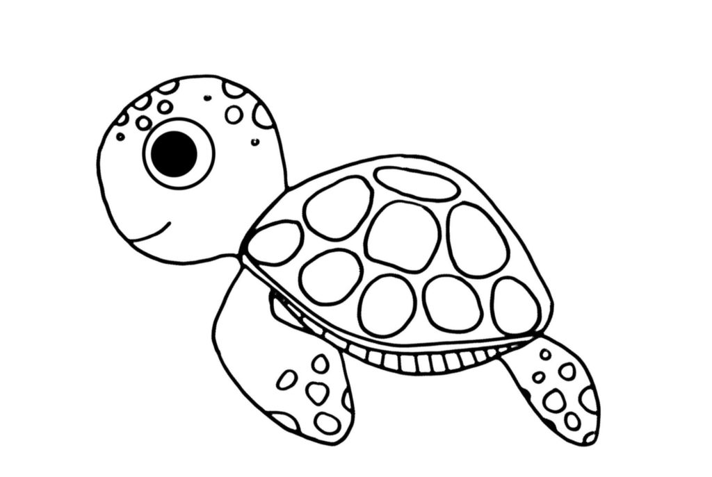 Ausmalbilder Schildkröte