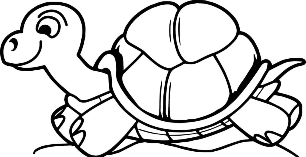 Coloriages Tortues