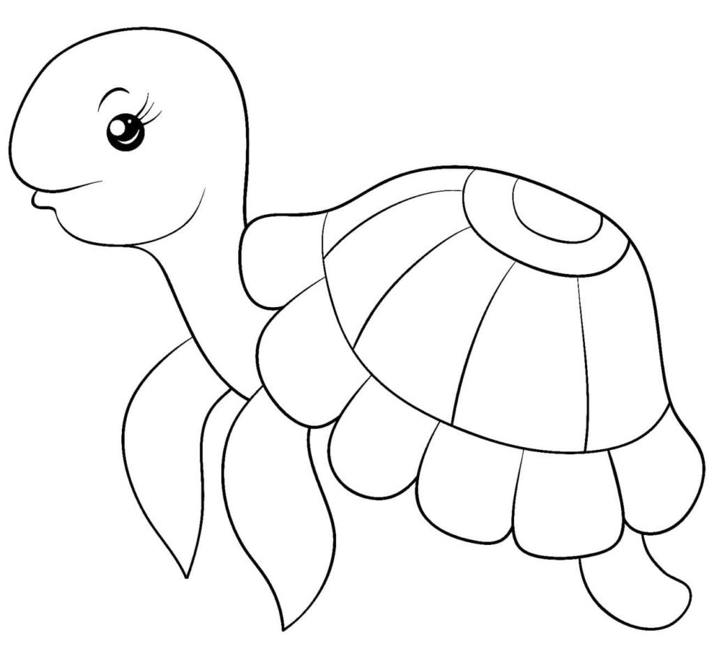 Desenhos de Tartarugas para colorir