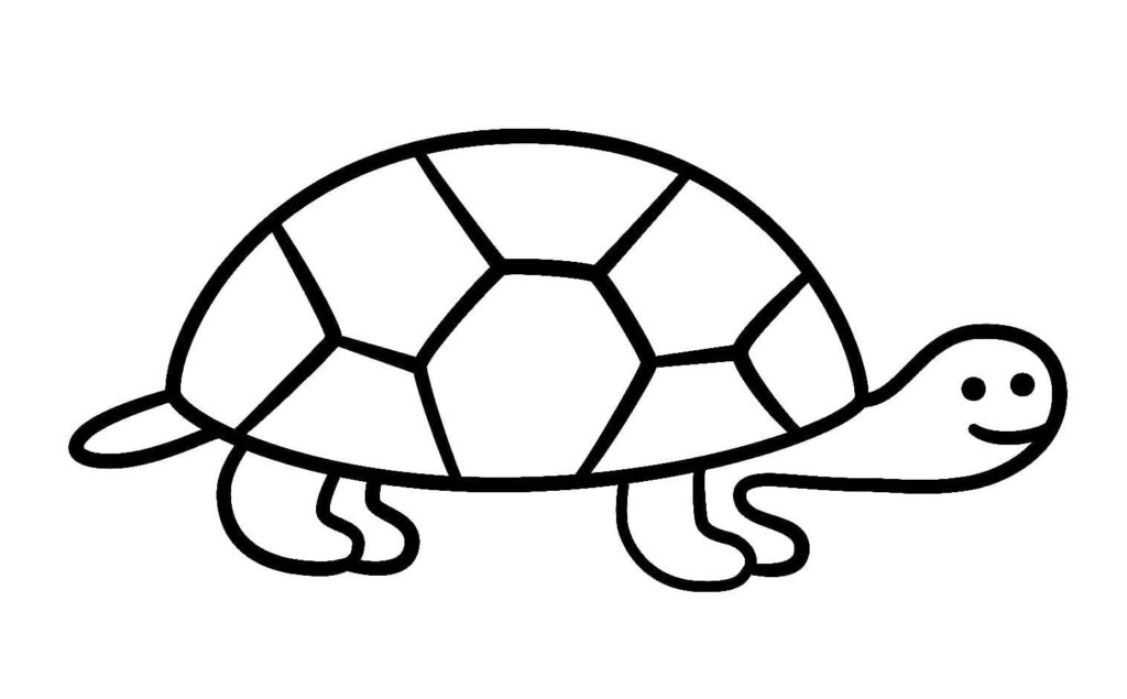 Ausmalbilder Schildkröte
