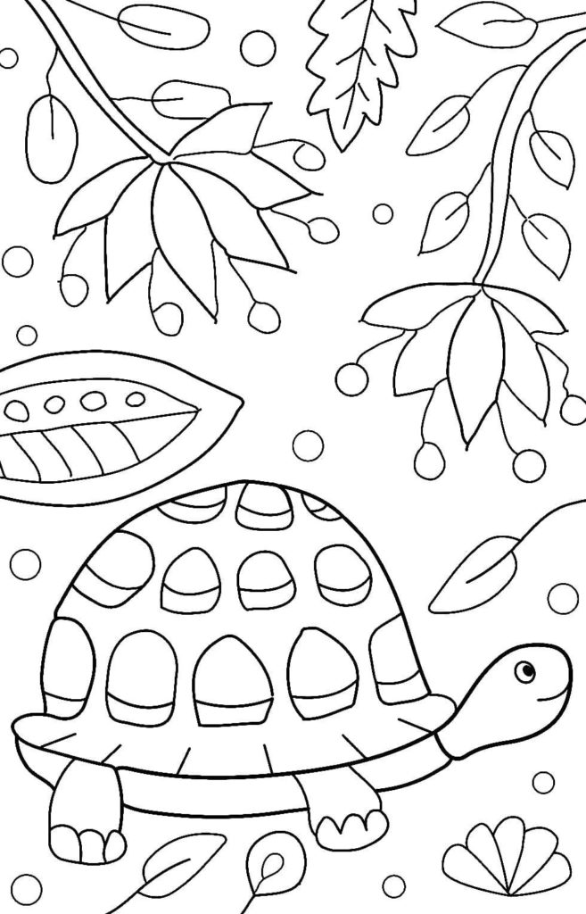 Dibujos de Tortugas para colorear
