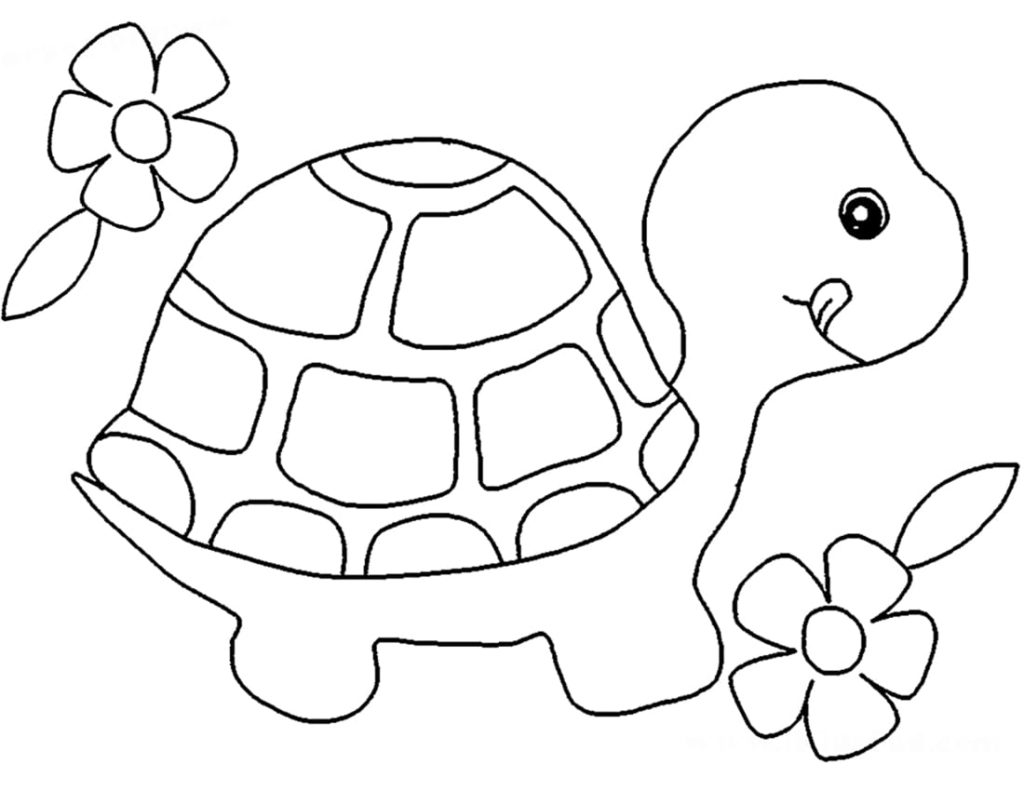 46 Cute Coloring Pages Turtle  Latest