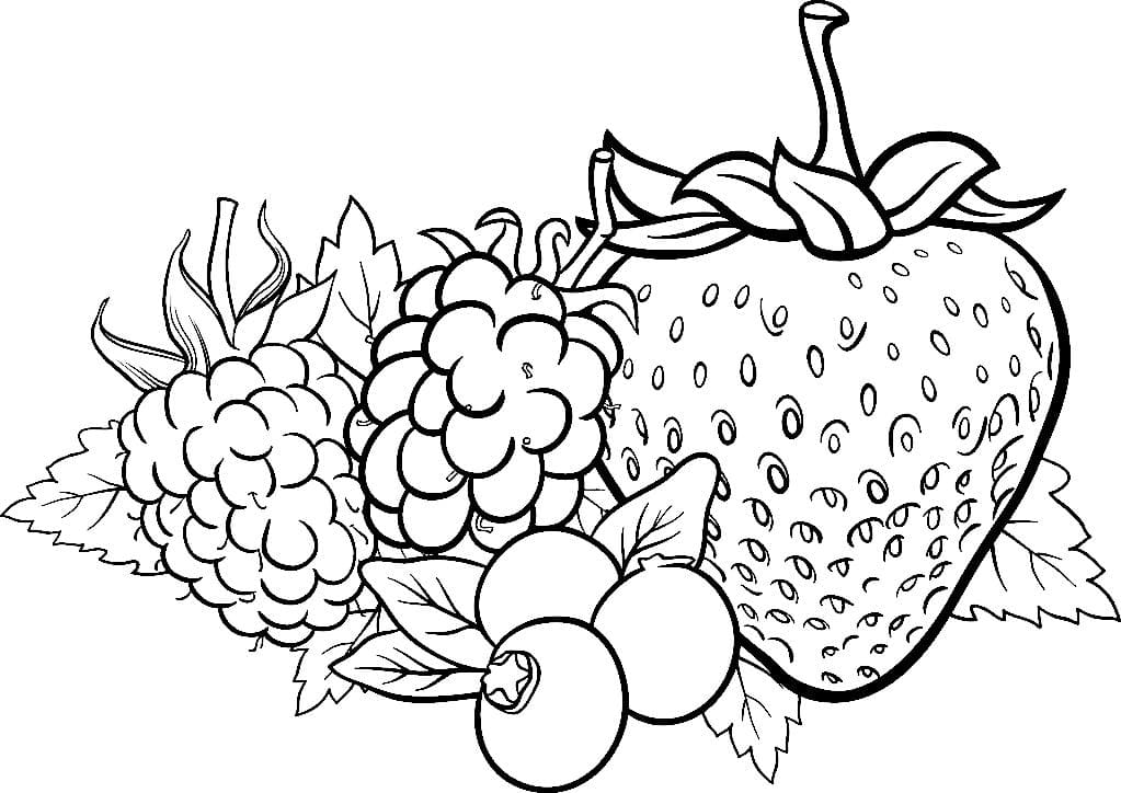 Morangos e outras frutas