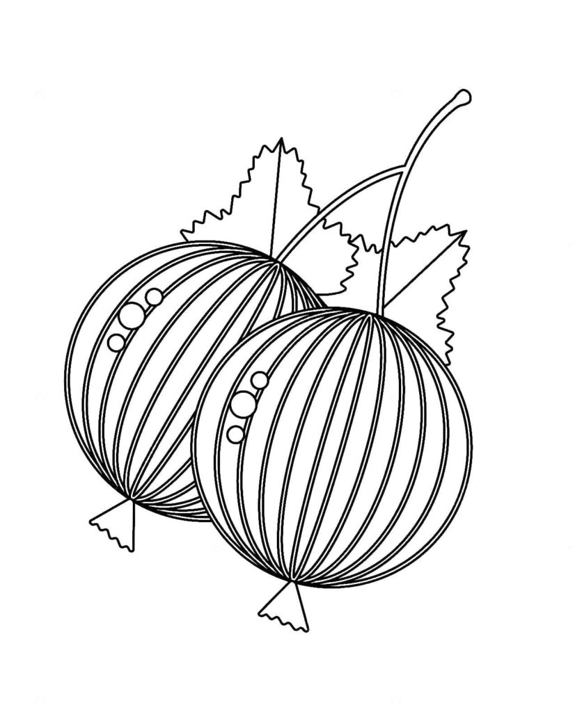 Groseille à maquereau