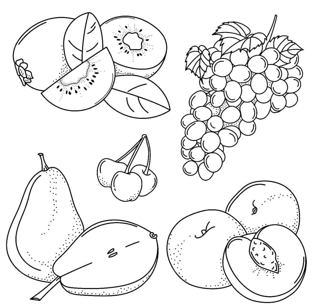frutas y bayas