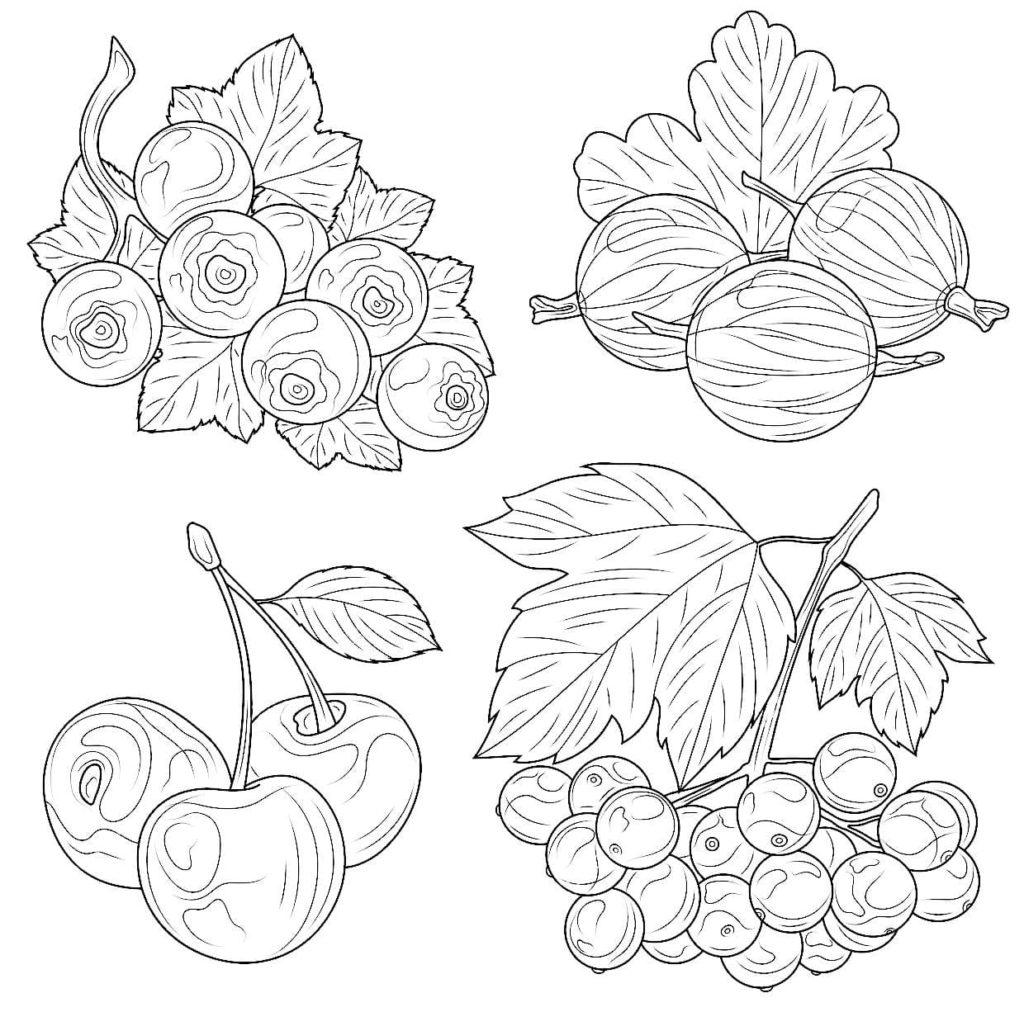 Berry Coloring Pages