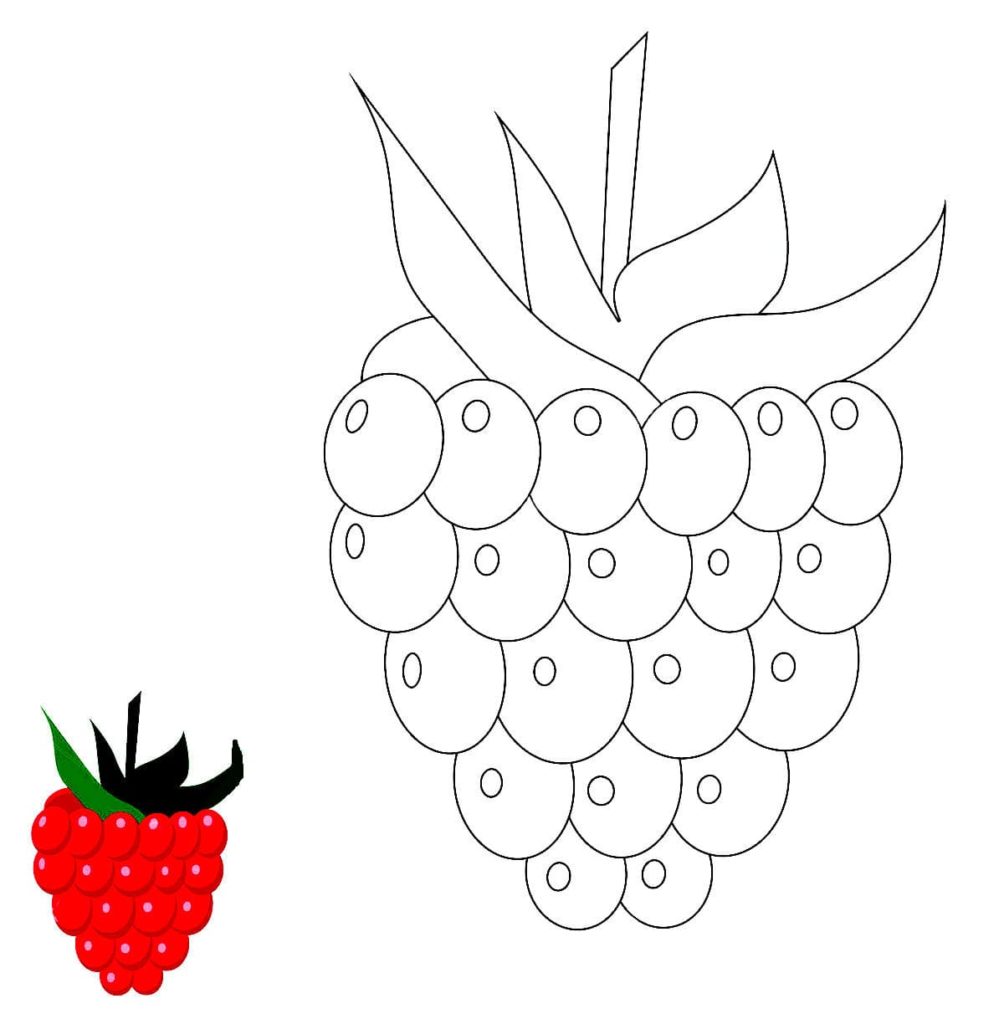 raspberries