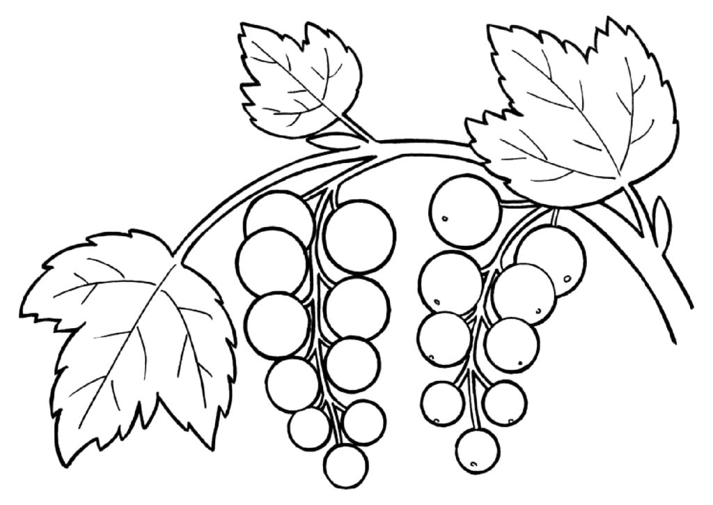 Currant coloring book