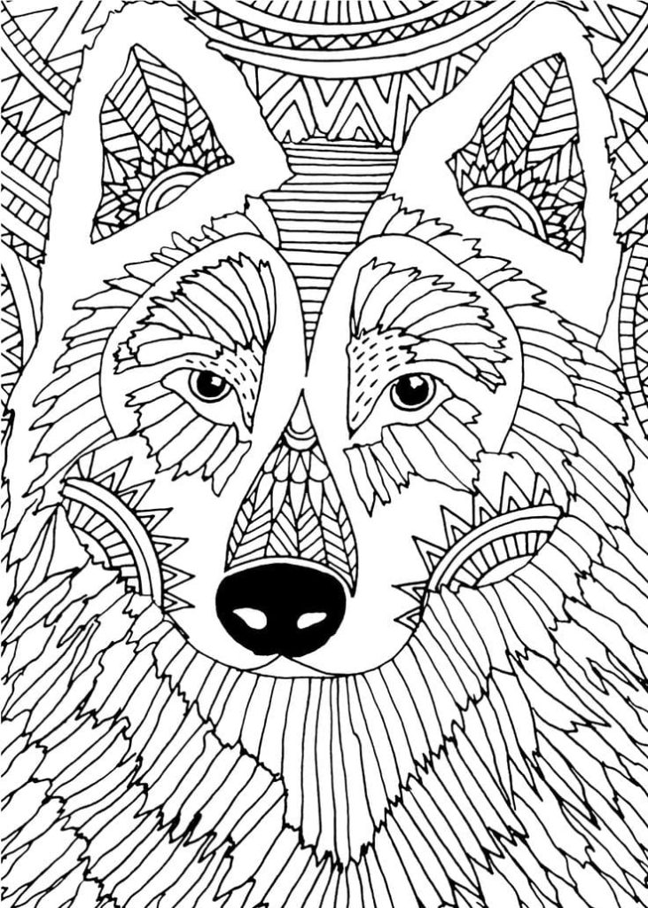 Antistress coloring book with a dog