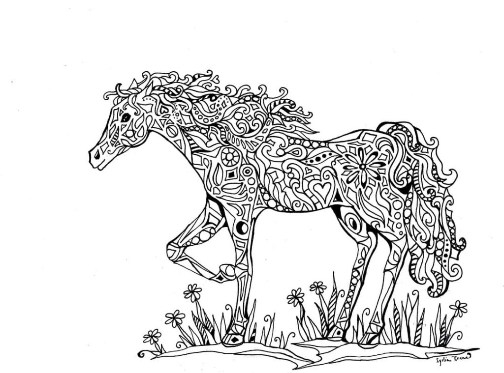 Лошадь на поляне