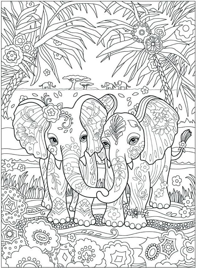 zwei Elefanten