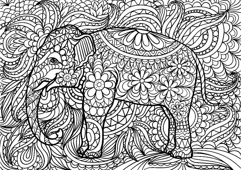 elefante indiano