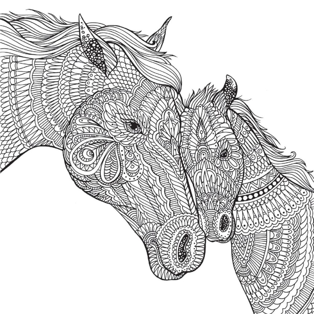 Zwei Pferde