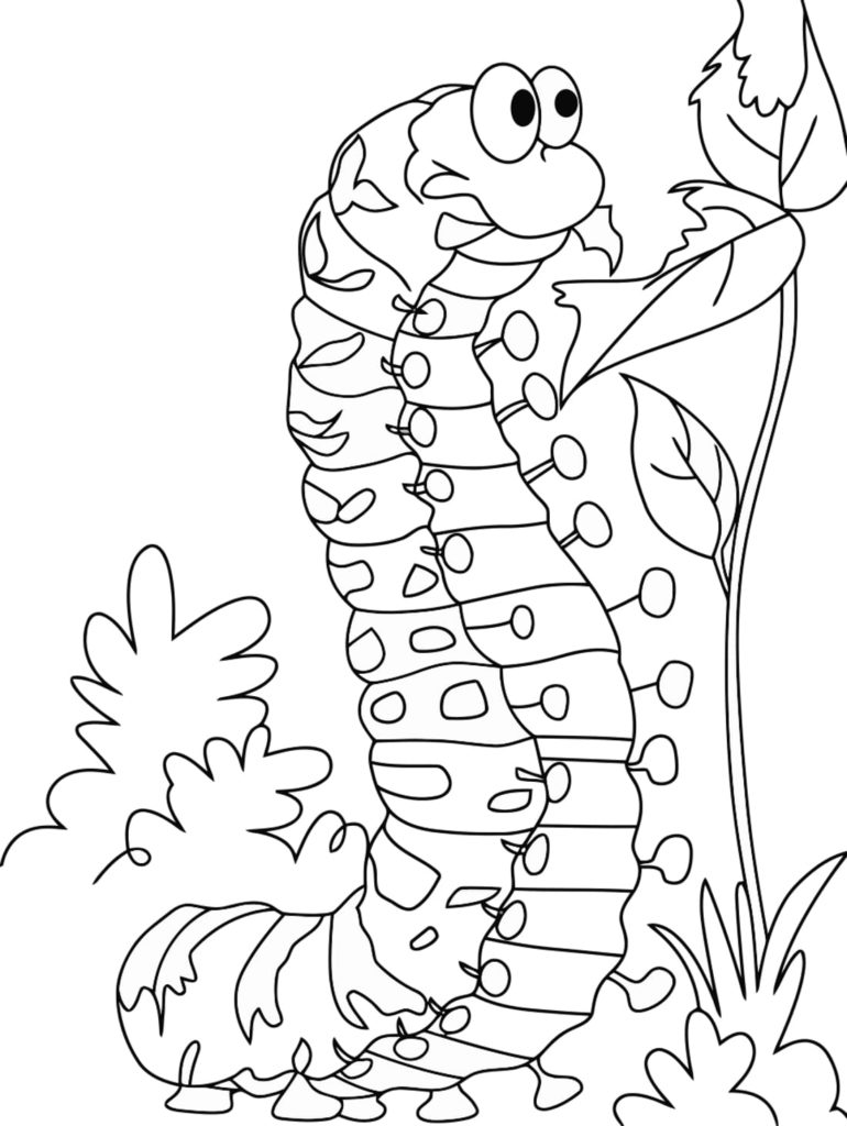 lagarta mastigando folhas