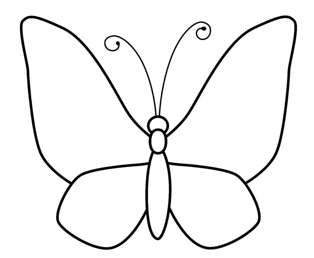 Обычная бабочка