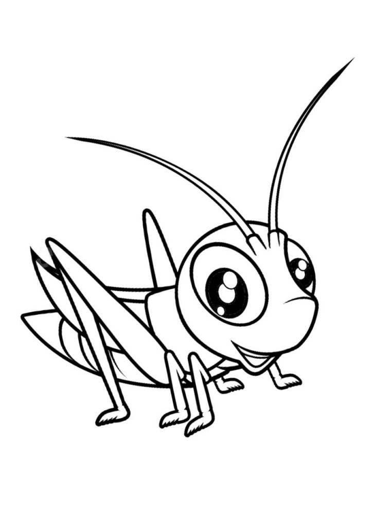 Grasshopper cute