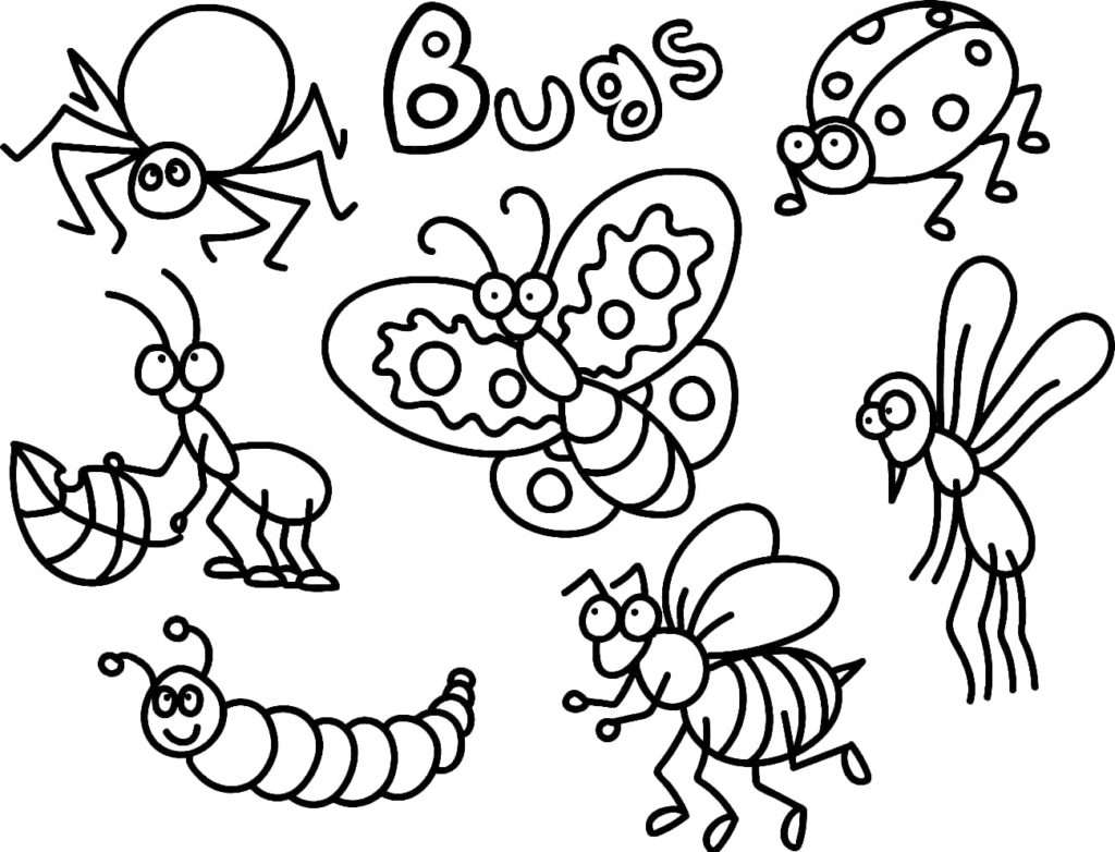 Dibujo de insectos para colorear