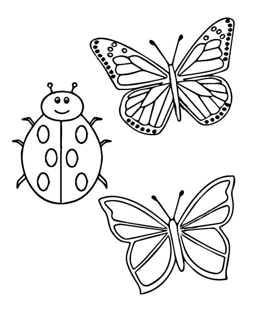 Marienkäfer Schmetterlinge
