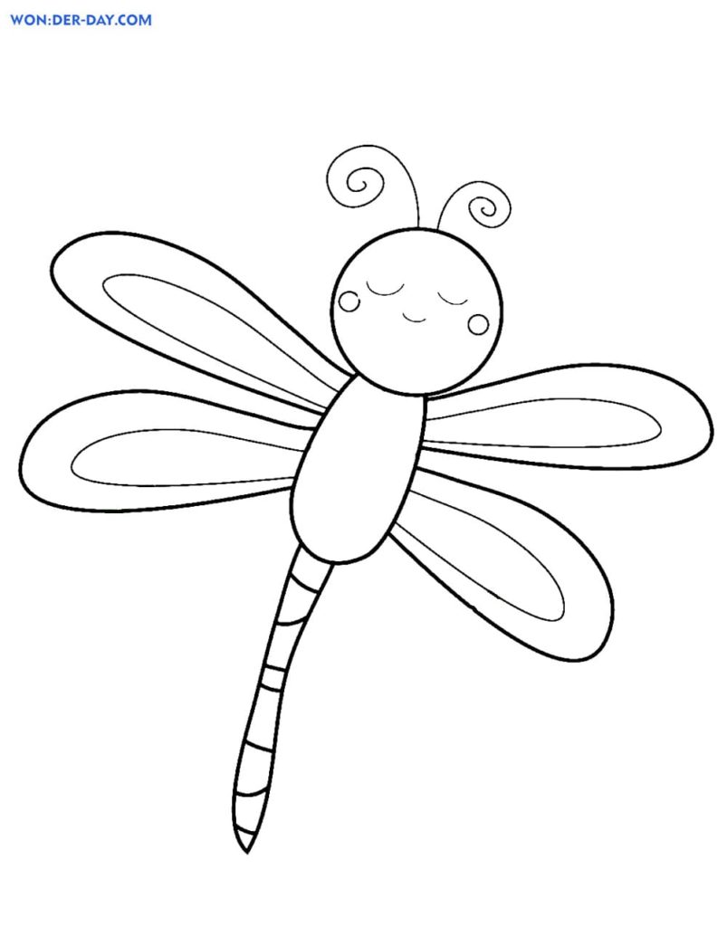 cute dragonfly