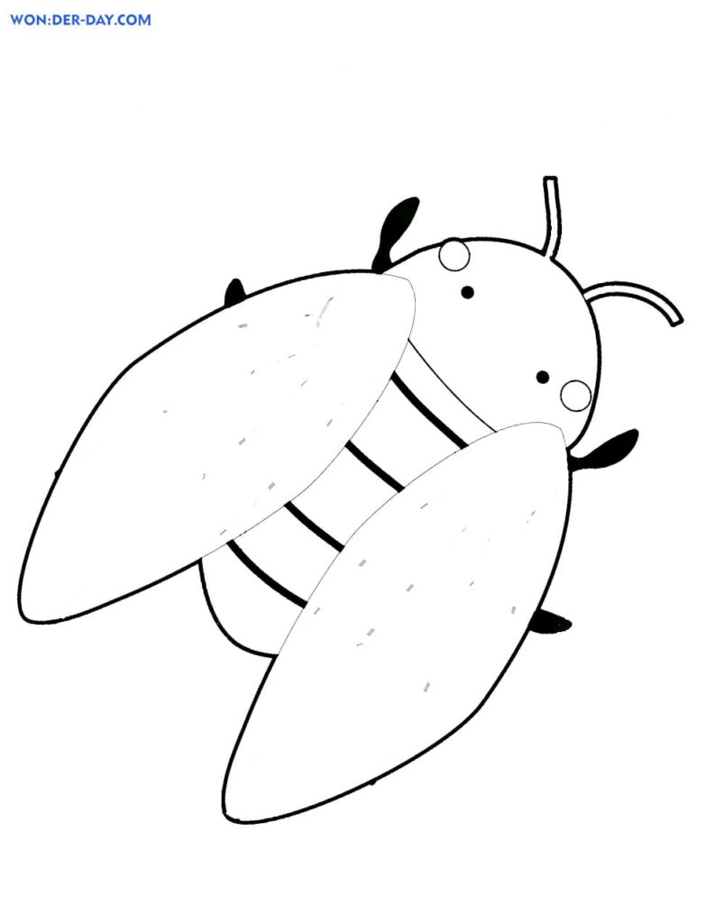 fliegender Käfer