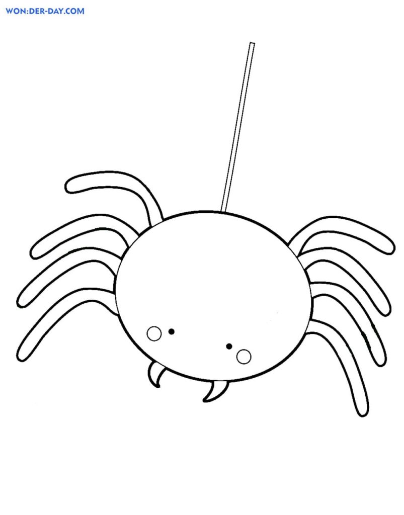 aranha de desenho animado