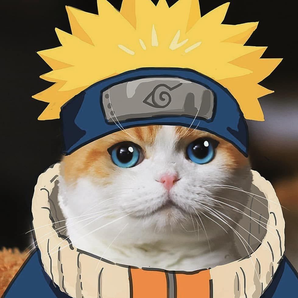 Naruto cat