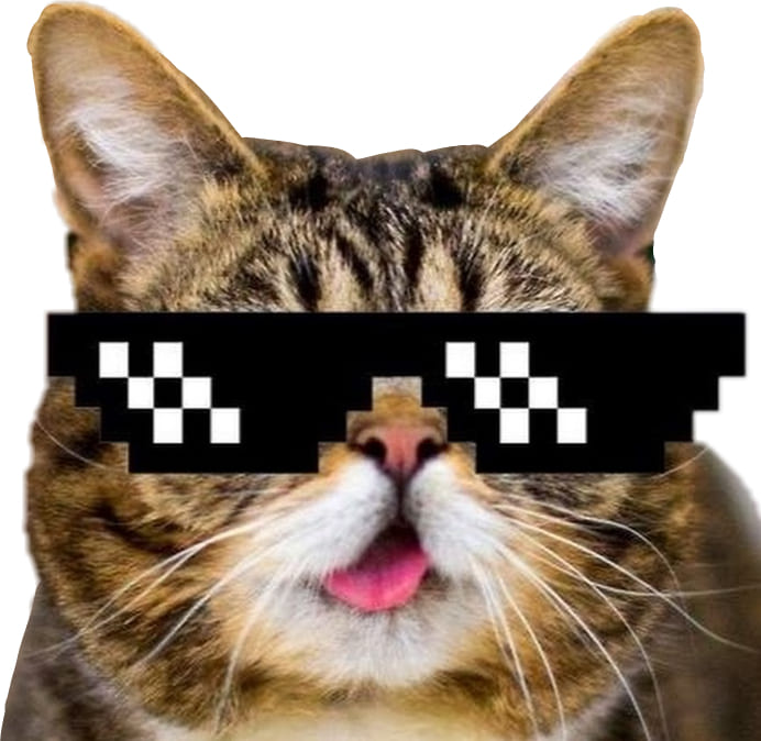 cat with pixel glasses