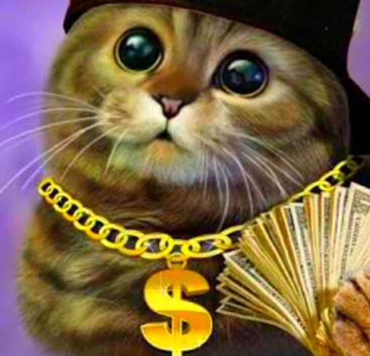 Rich cat with money