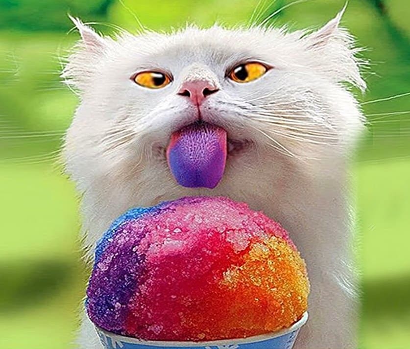 Gato con lengua de colores