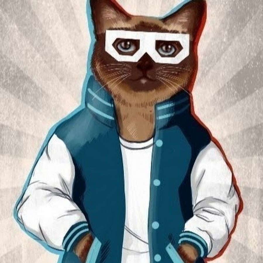 gato de desenho animado em uma jaqueta
