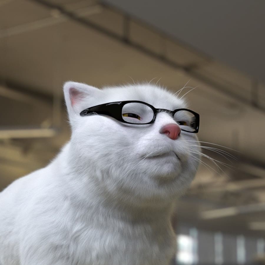 professor gato