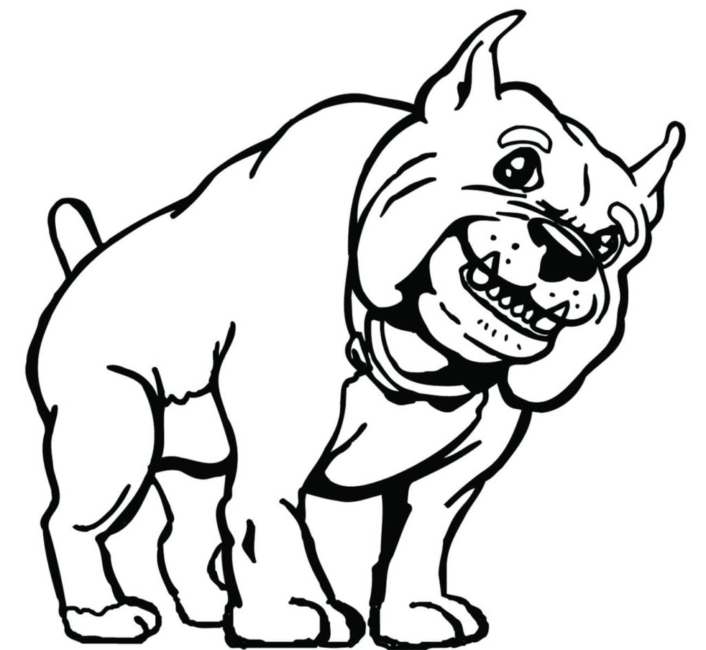 bulldog de desenho animado