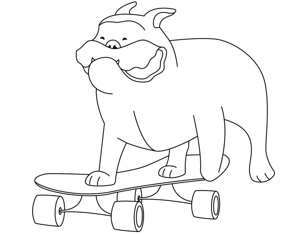 Bulldogge auf einem Skateboard