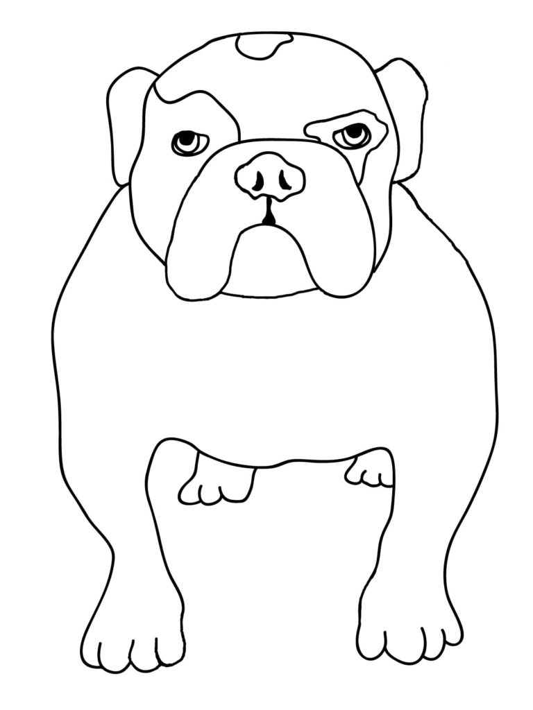 bulldog pattern