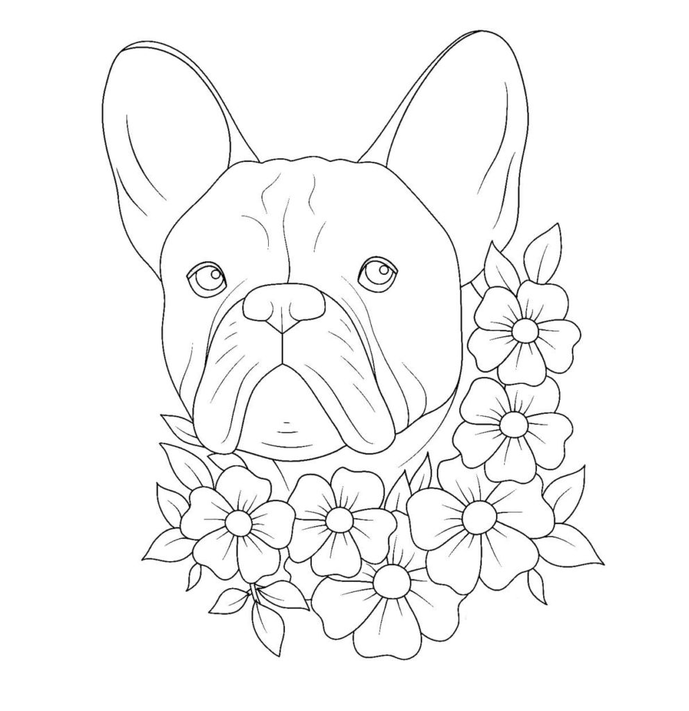 Bulldog and flowers