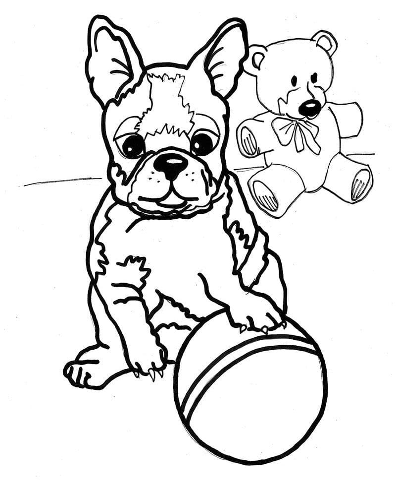 Bulldog con una pelota