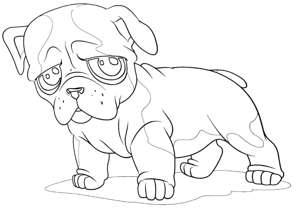 traurige Bulldogge