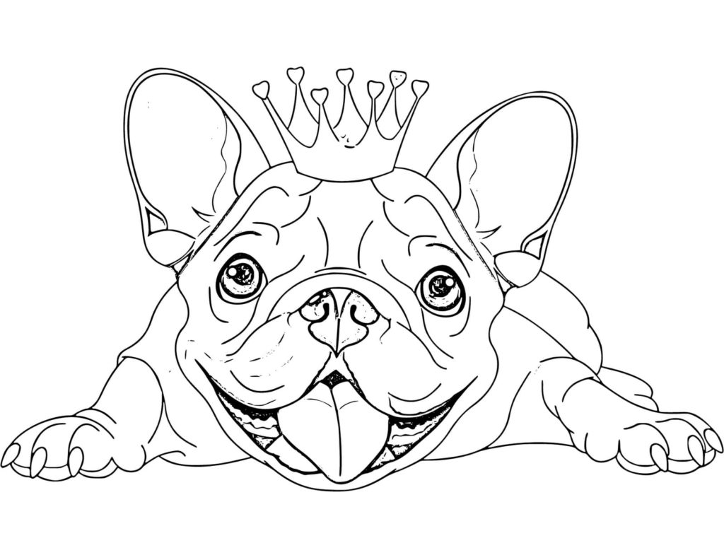 Bulldog com uma coroa
